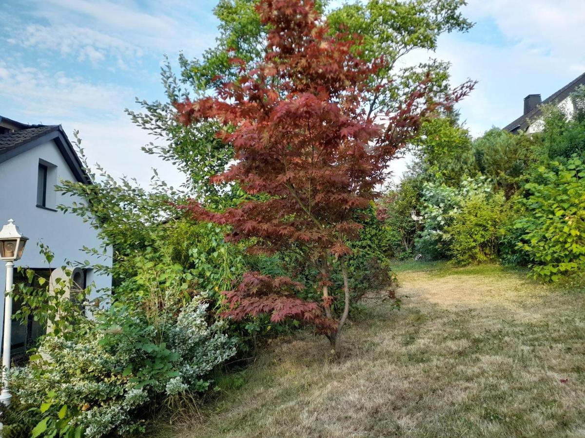 Haus Edda - Ferienwohnungen Mit Garten Und Schlossblick Marburg Esterno foto